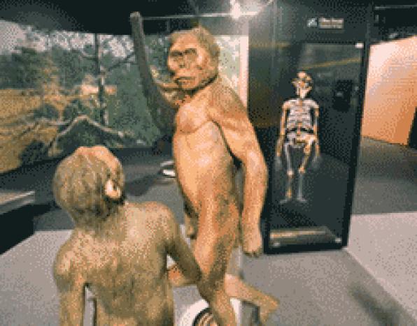 La Pineda acull lexposició Orígens. Cinc fites en levolució humana