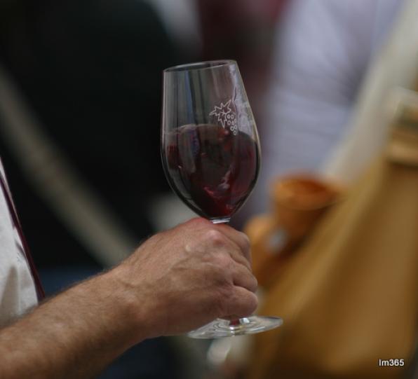 Torroja, al Priorat, celebrarà dissabte la 2ª Nit de Vins