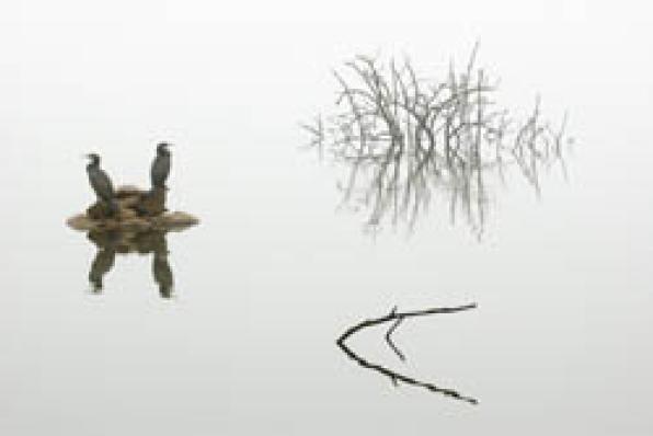 Arriben a Salou les 52 millors fotografies del quart concurs Instants de Natura